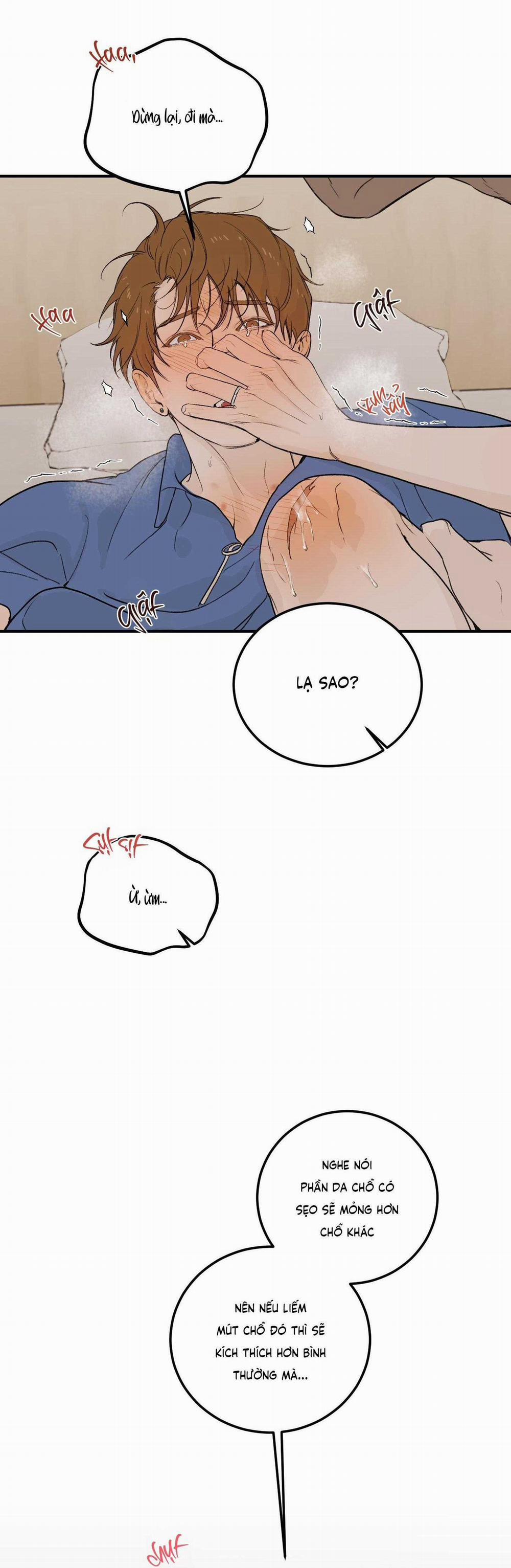 Lời Tỏ Tình Chân Thành Nhất 8 trang 33