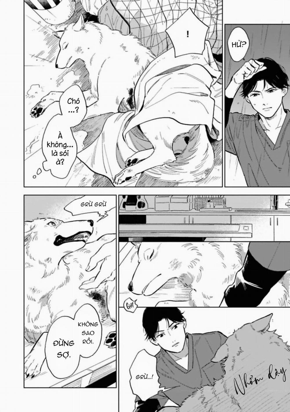 Lời Tỏ Tình Của Chú Sói 1 trang 5