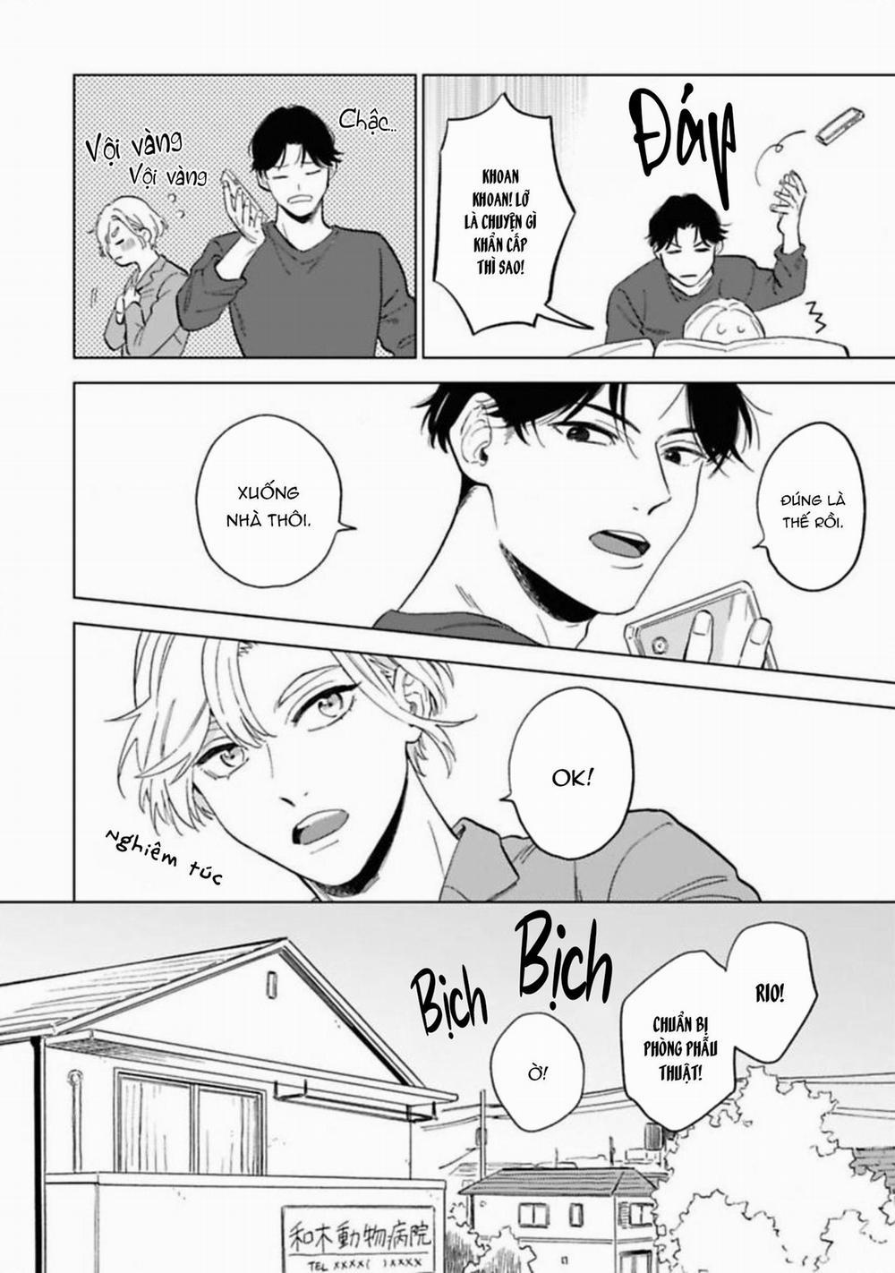 Lời Tỏ Tình Của Chú Sói 4 trang 17