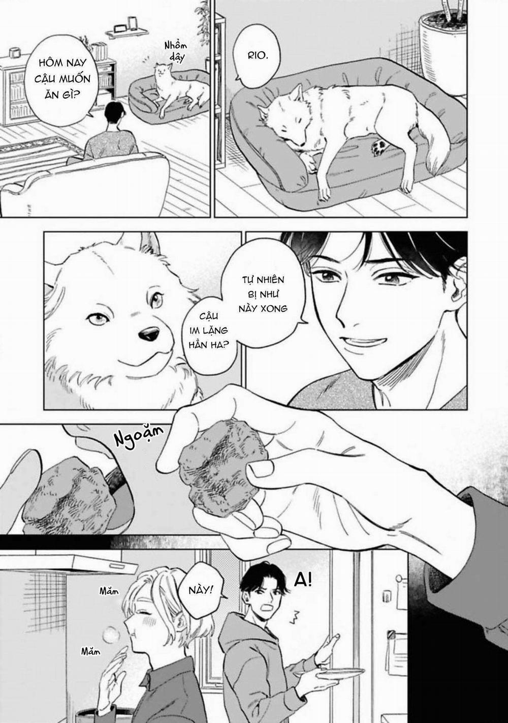 Lời Tỏ Tình Của Chú Sói 5 trang 10