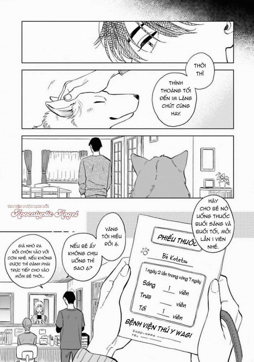 Lời Tỏ Tình Của Chú Sói 5 trang 12