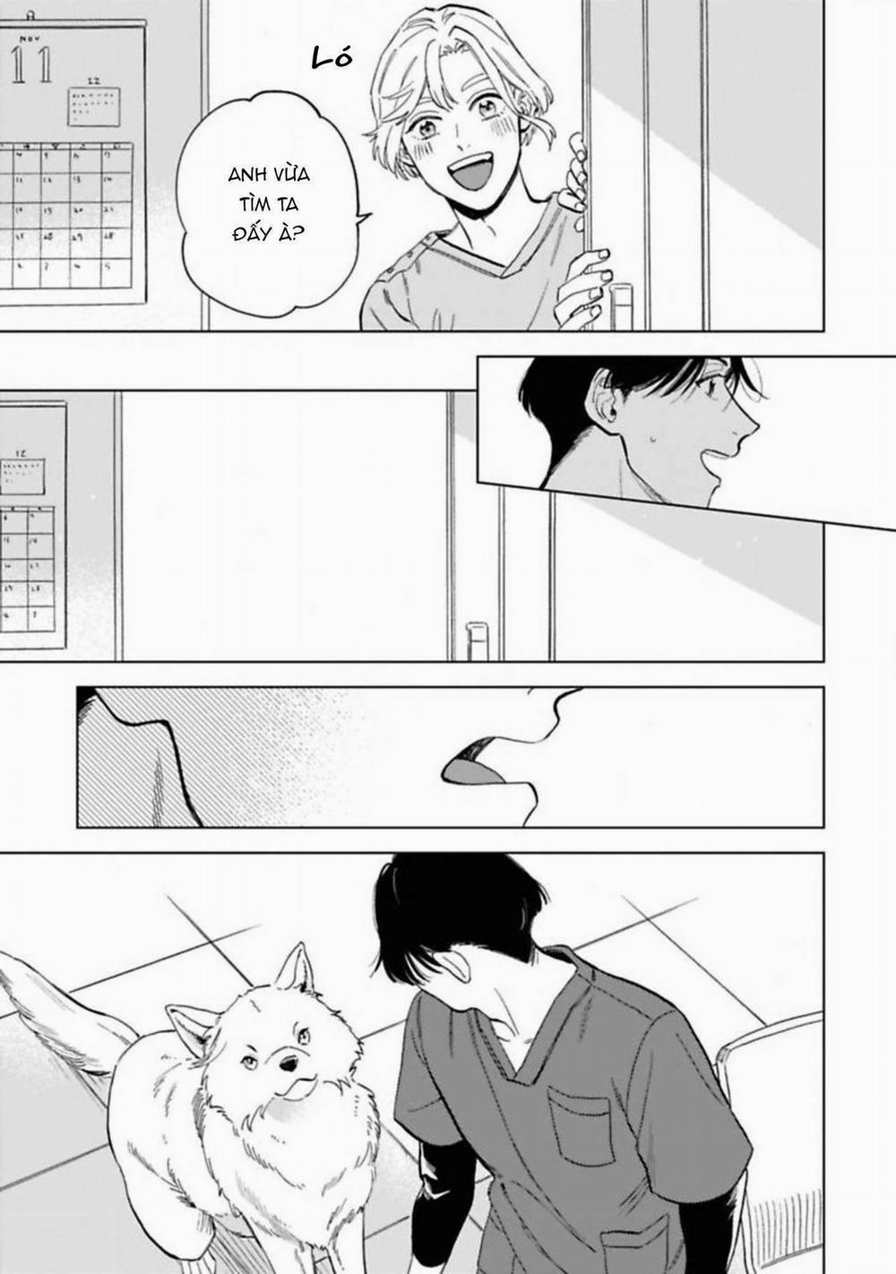 Lời Tỏ Tình Của Chú Sói 5 trang 14