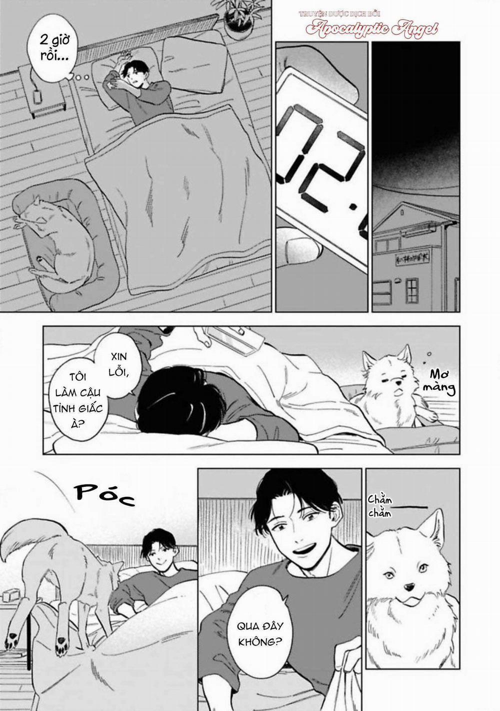 Lời Tỏ Tình Của Chú Sói 5 trang 16