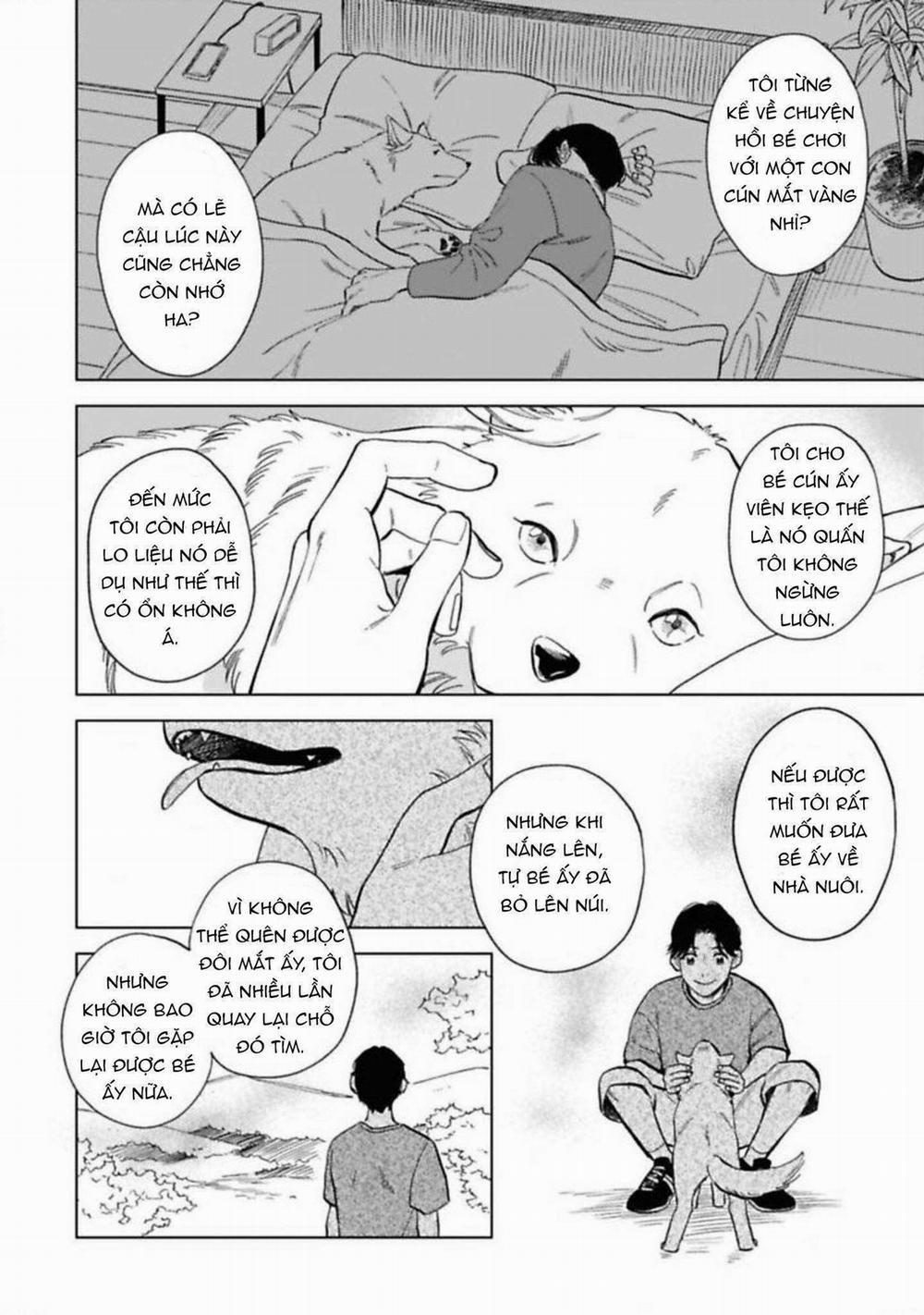 Lời Tỏ Tình Của Chú Sói 5 trang 17