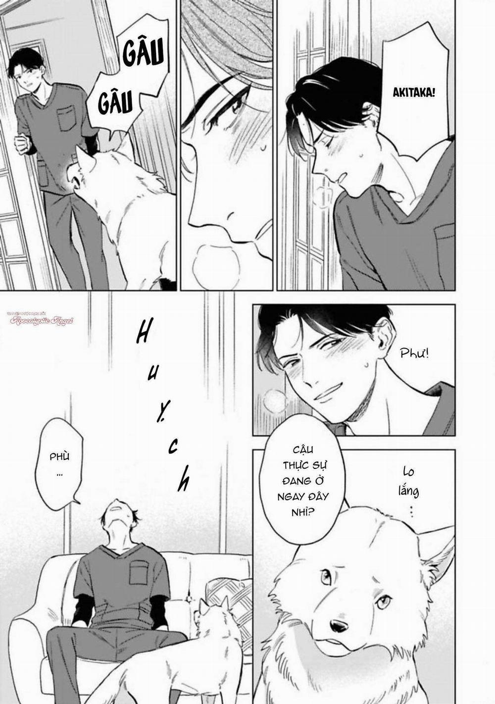 Lời Tỏ Tình Của Chú Sói 5 trang 20