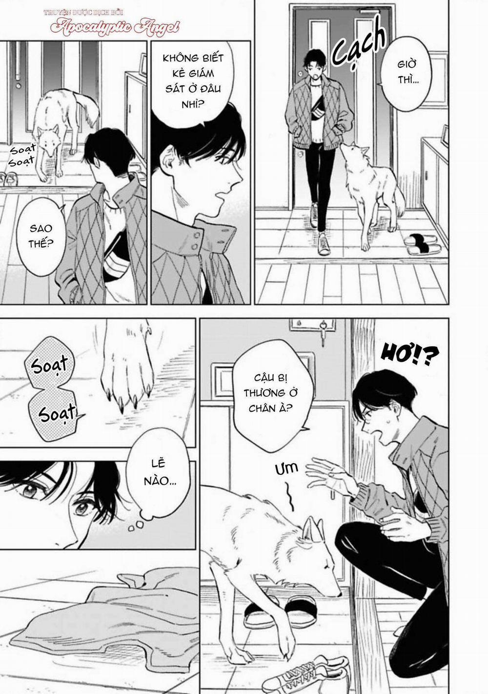 Lời Tỏ Tình Của Chú Sói 5 trang 8