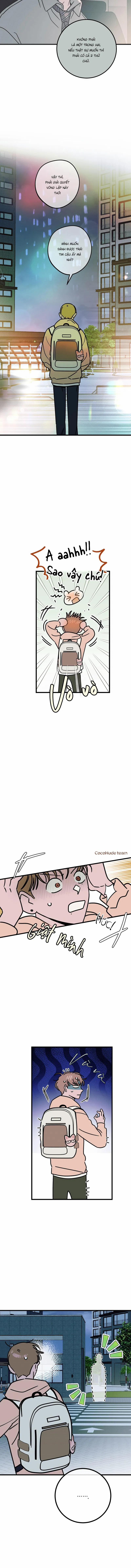 Lời Tỏ Tình Từ Con Số 0 16 trang 3