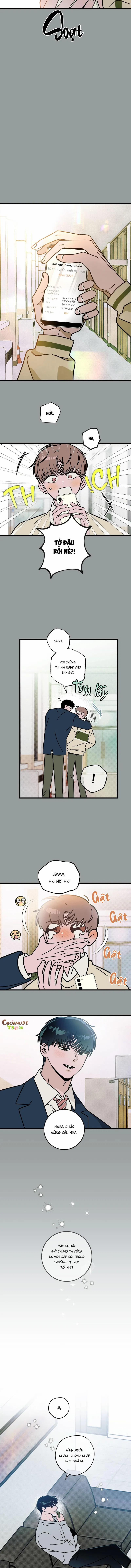 Lời Tỏ Tình Từ Con Số 0 39 trang 5