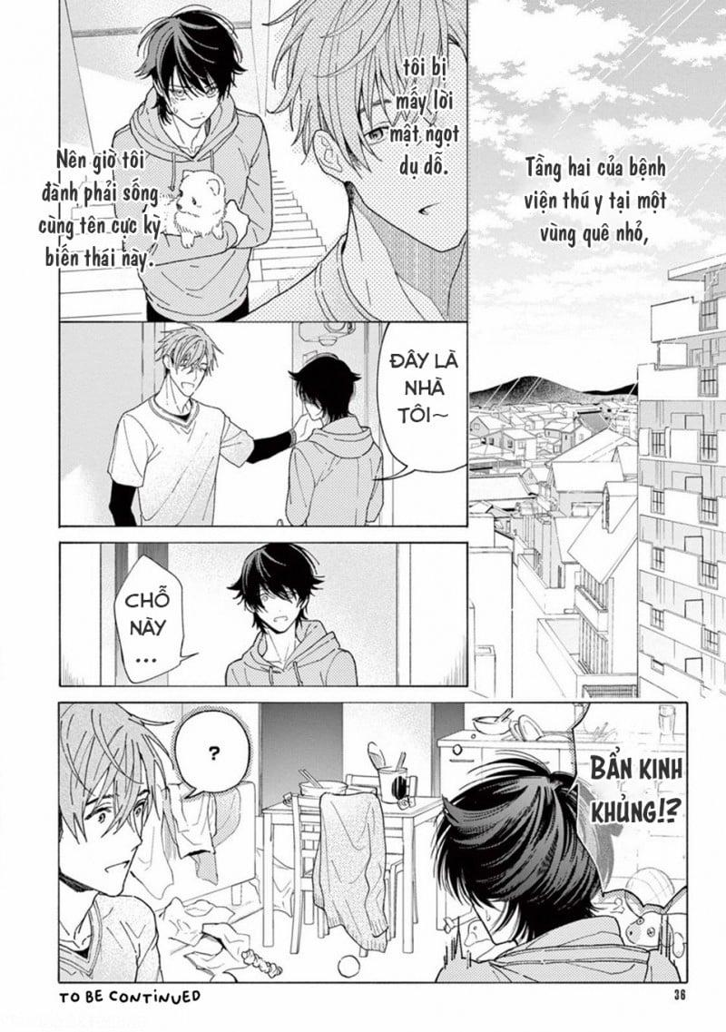 Lời Yêu Khó Nói 1 trang 36