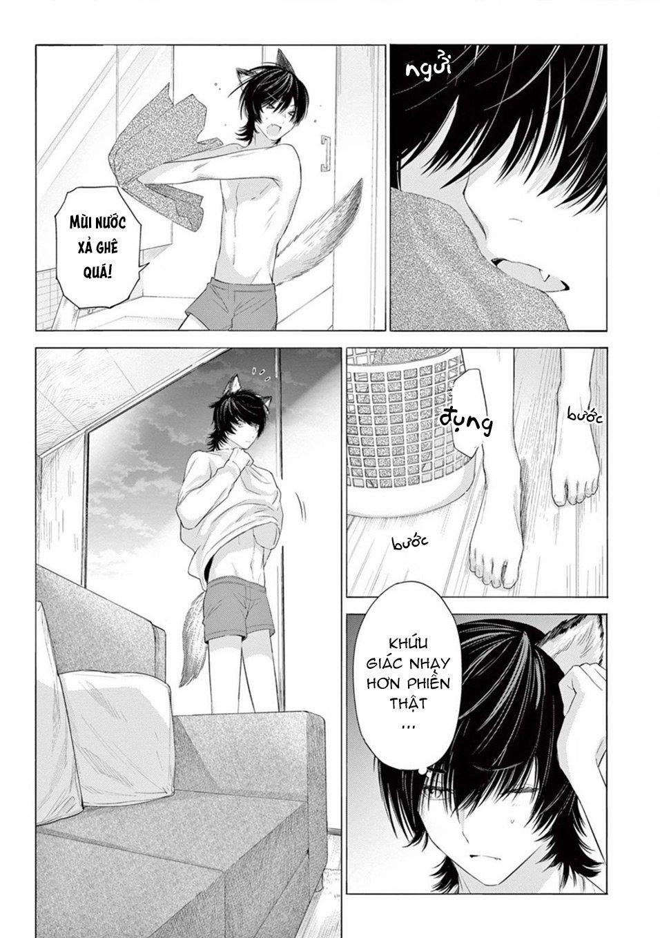 Lời Yêu Khó Nói 3 trang 11