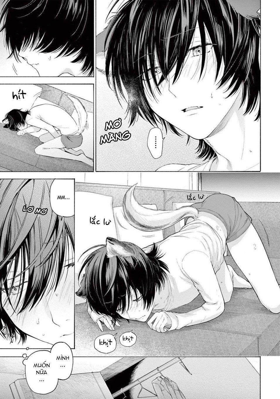 Lời Yêu Khó Nói 3 trang 13