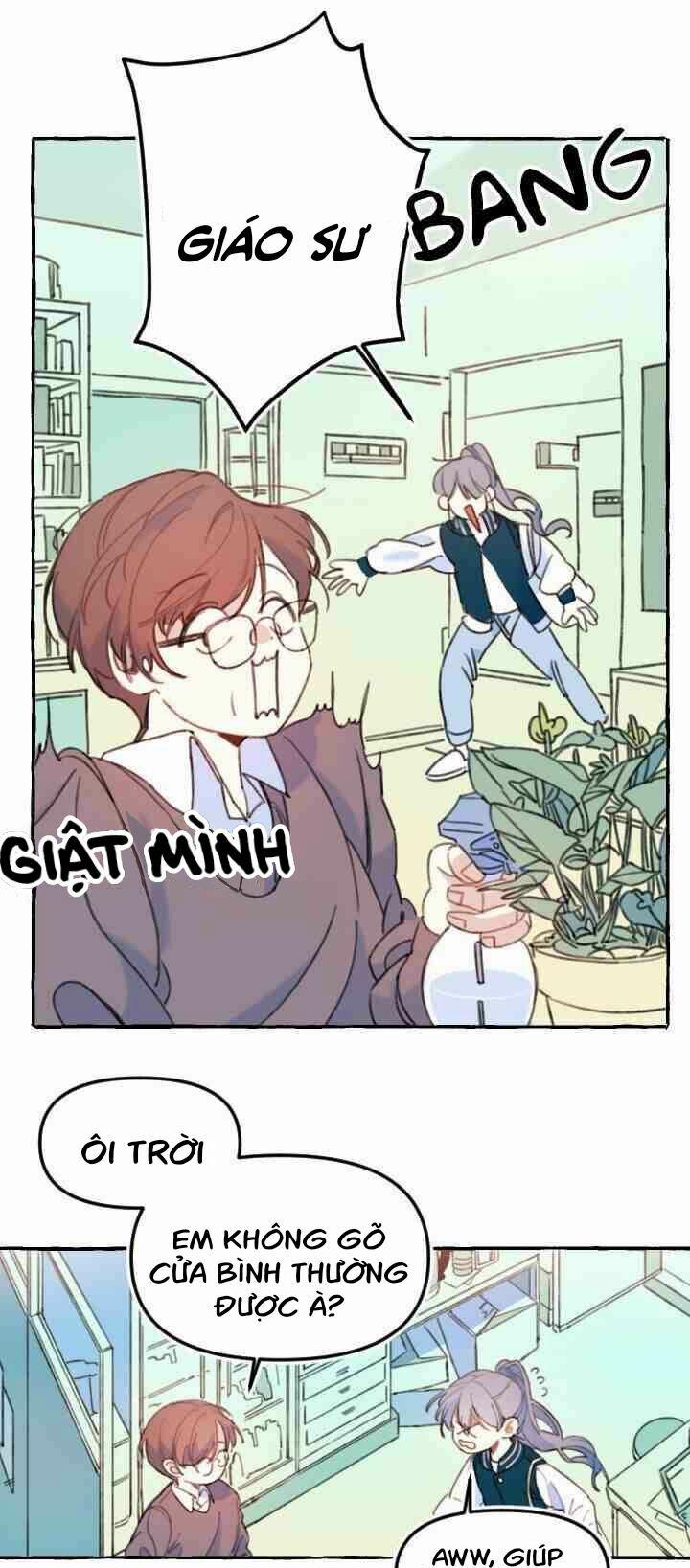 Lời Yêu Thì Cần App Để Dịch Không? 1 trang 16