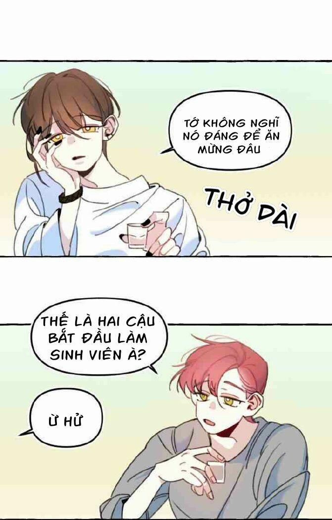 Lời Yêu Thì Cần App Để Dịch Không? 1 trang 4