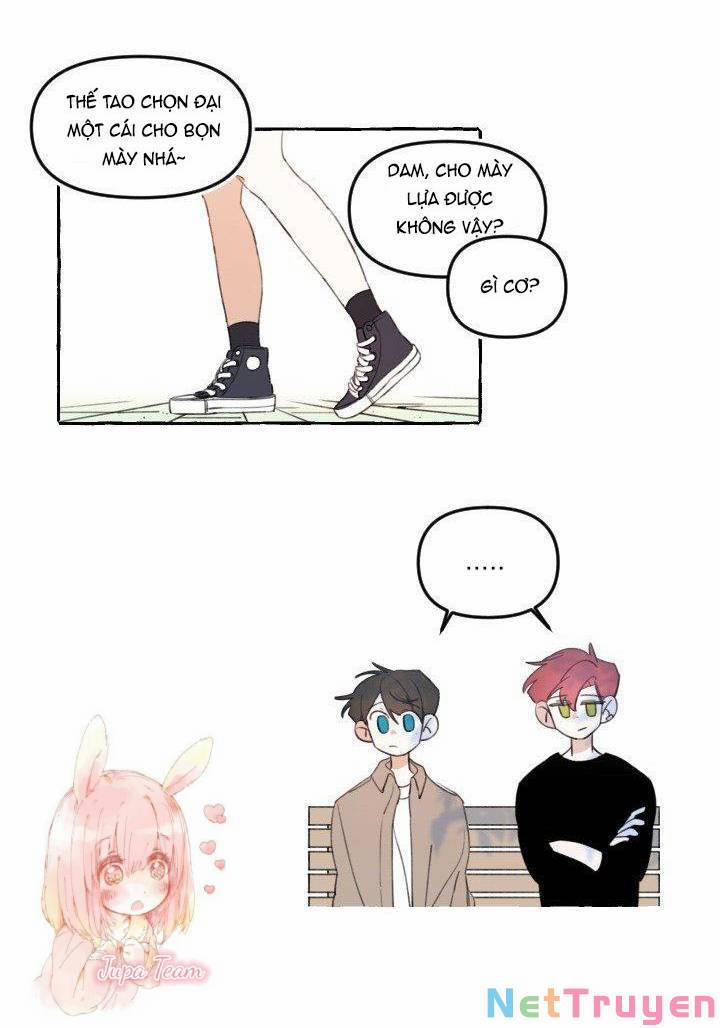 Lời Yêu Thì Cần App Để Dịch Không? 10 trang 10