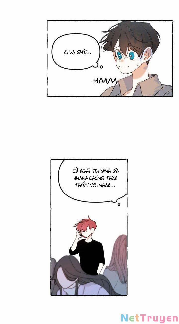 Lời Yêu Thì Cần App Để Dịch Không? 10 trang 12