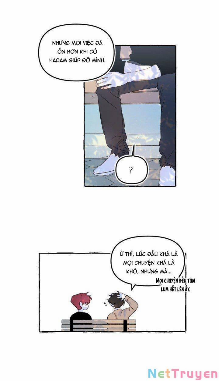 Lời Yêu Thì Cần App Để Dịch Không? 10 trang 17