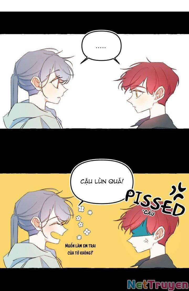 Lời Yêu Thì Cần App Để Dịch Không? 11 trang 1