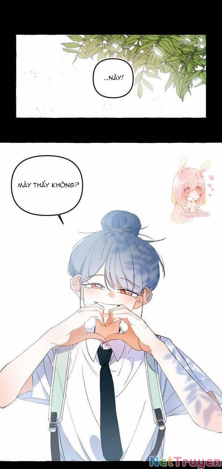 Lời Yêu Thì Cần App Để Dịch Không? 11 trang 20