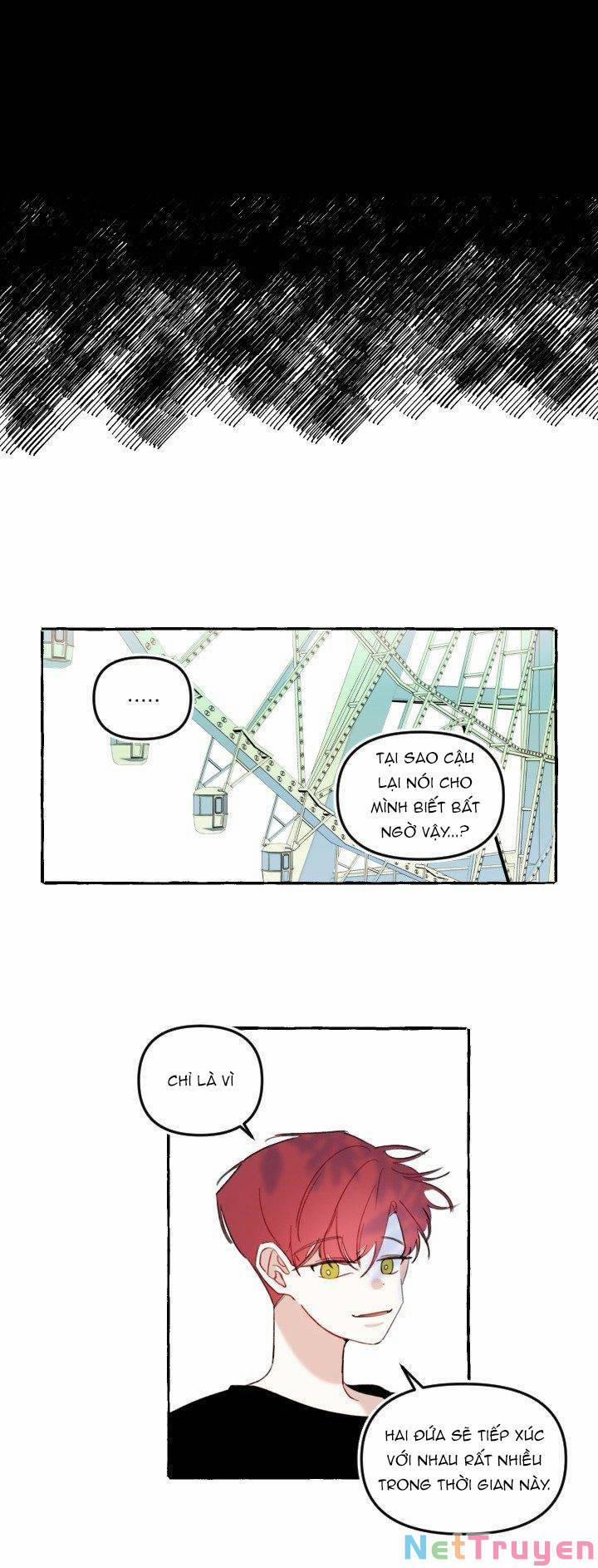 Lời Yêu Thì Cần App Để Dịch Không? 11 trang 24