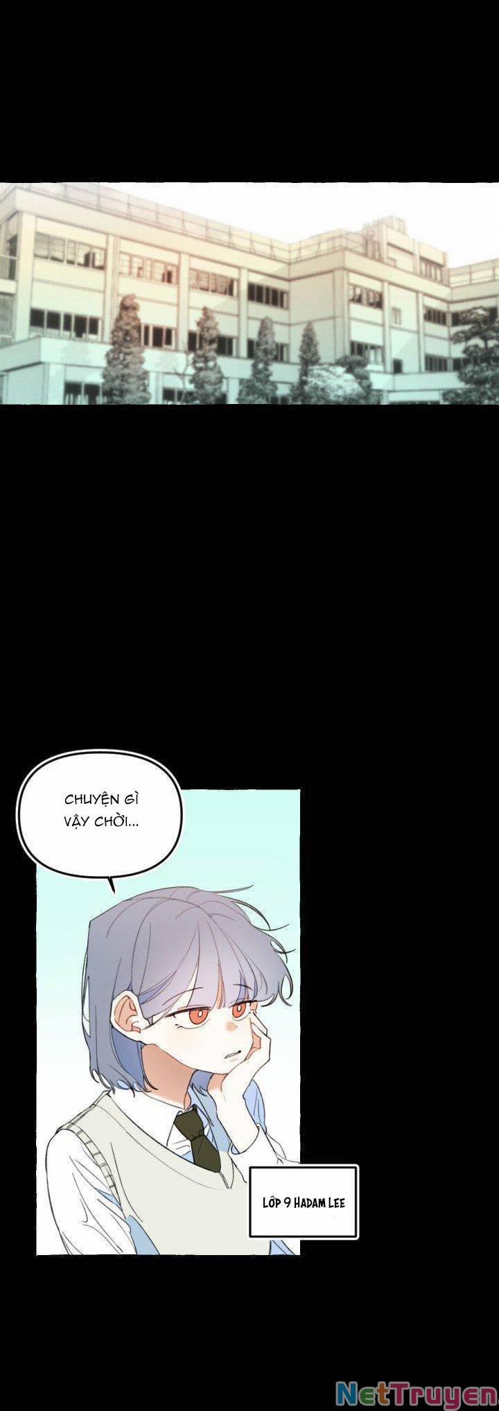 Lời Yêu Thì Cần App Để Dịch Không? 11 trang 3