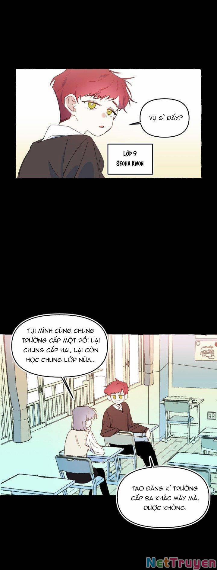 Lời Yêu Thì Cần App Để Dịch Không? 11 trang 4