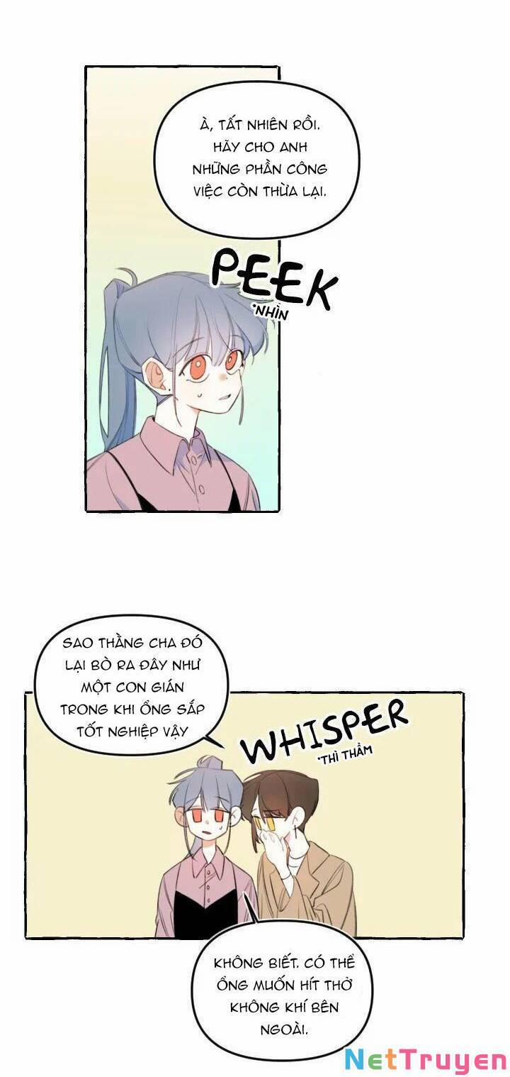 Lời Yêu Thì Cần App Để Dịch Không? 13 trang 9