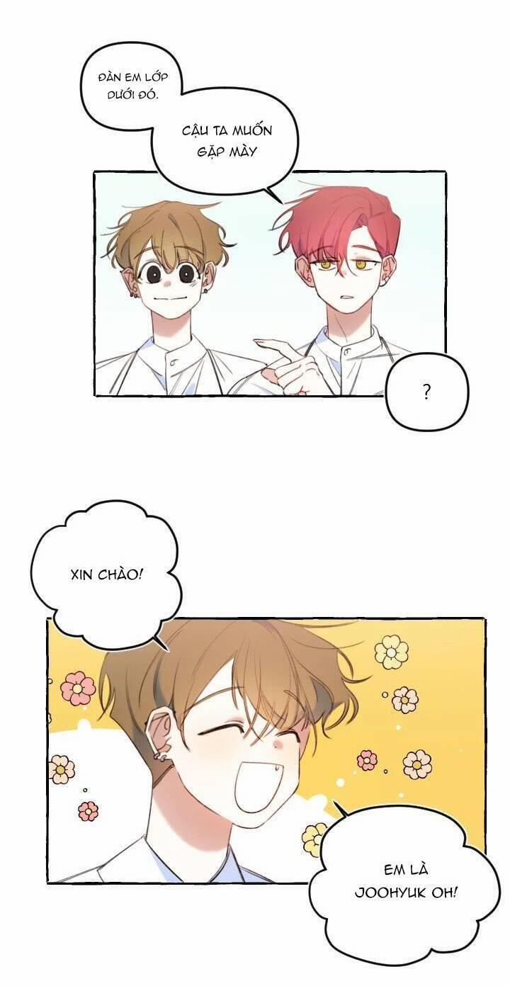 Lời Yêu Thì Cần App Để Dịch Không? 15 trang 2