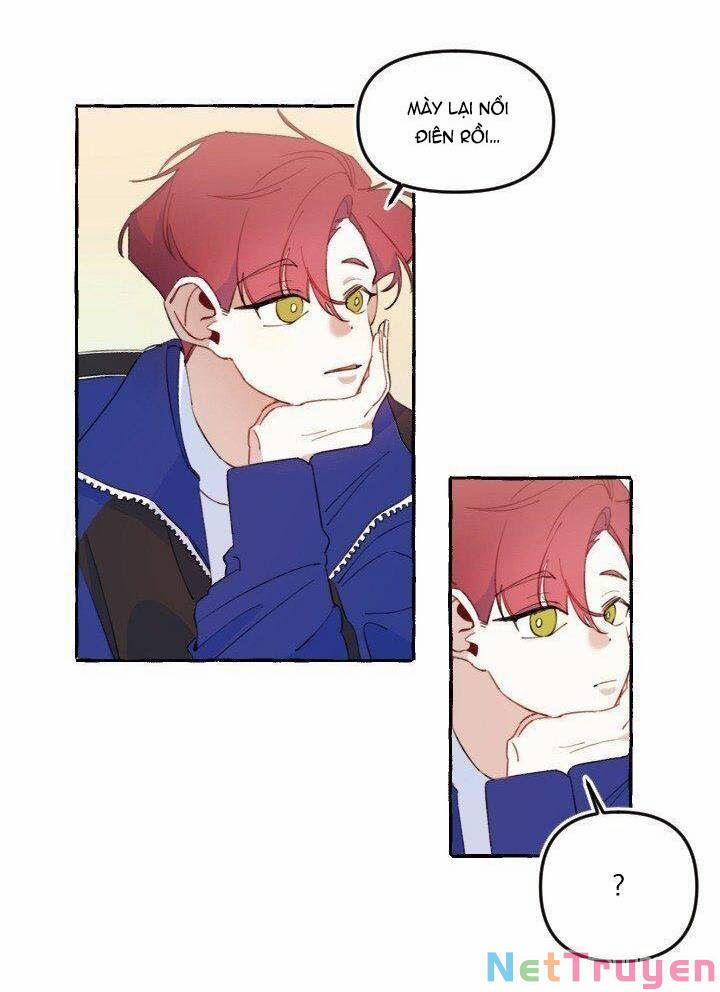 Lời Yêu Thì Cần App Để Dịch Không? 7 trang 8