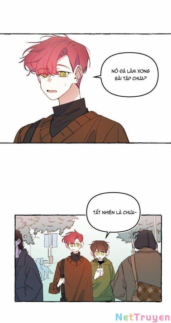 Lời Yêu Thì Cần App Để Dịch Không? 8 trang 4