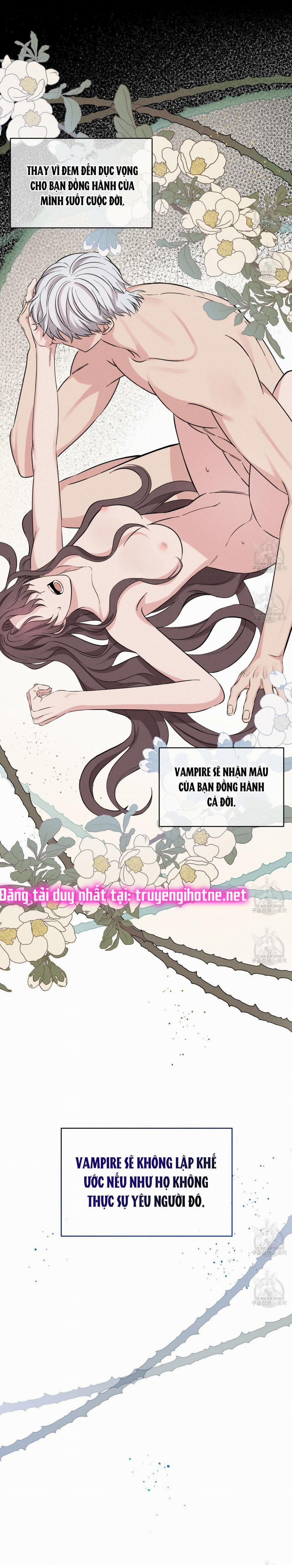 London Về Đêm – Night Of London 11.1 trang 5