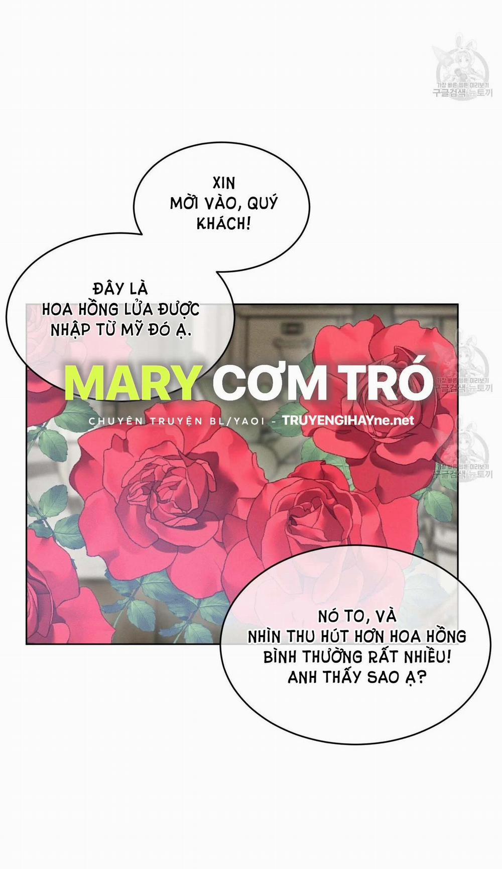 London Về Đêm – Night Of London 17.1 trang 16