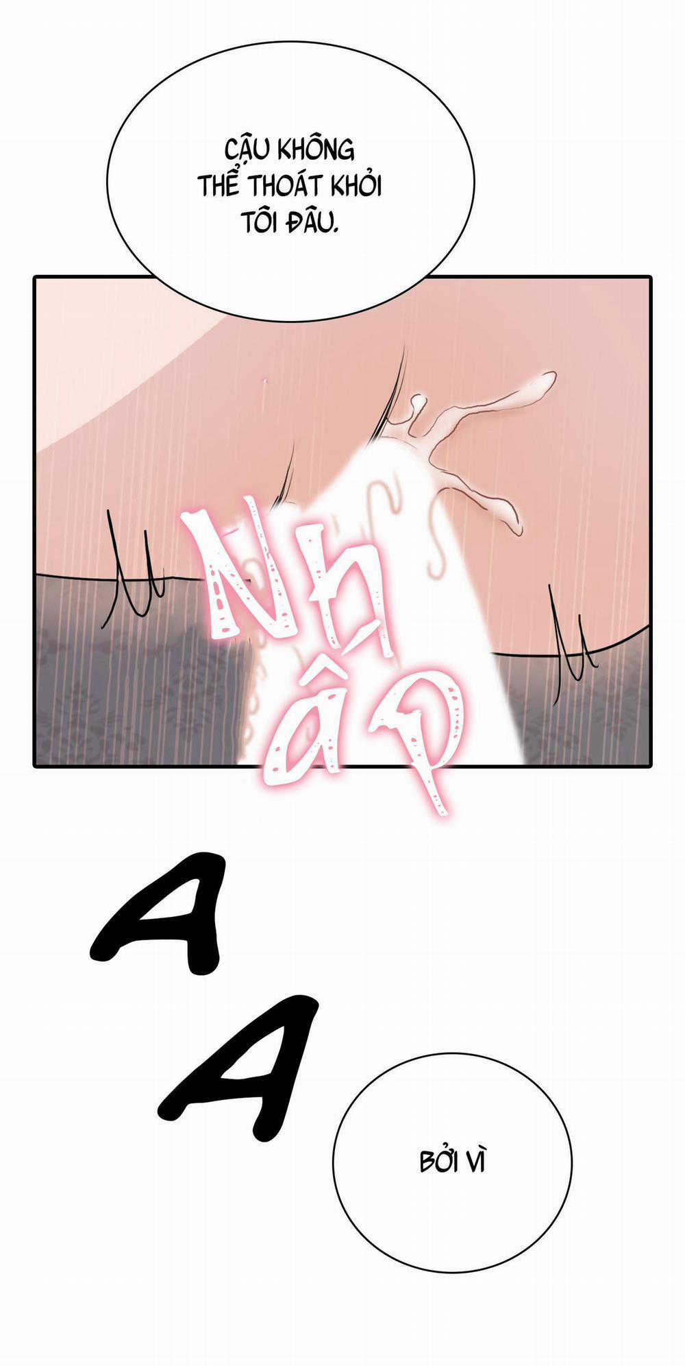 LỒNG CHIM 11 trang 14