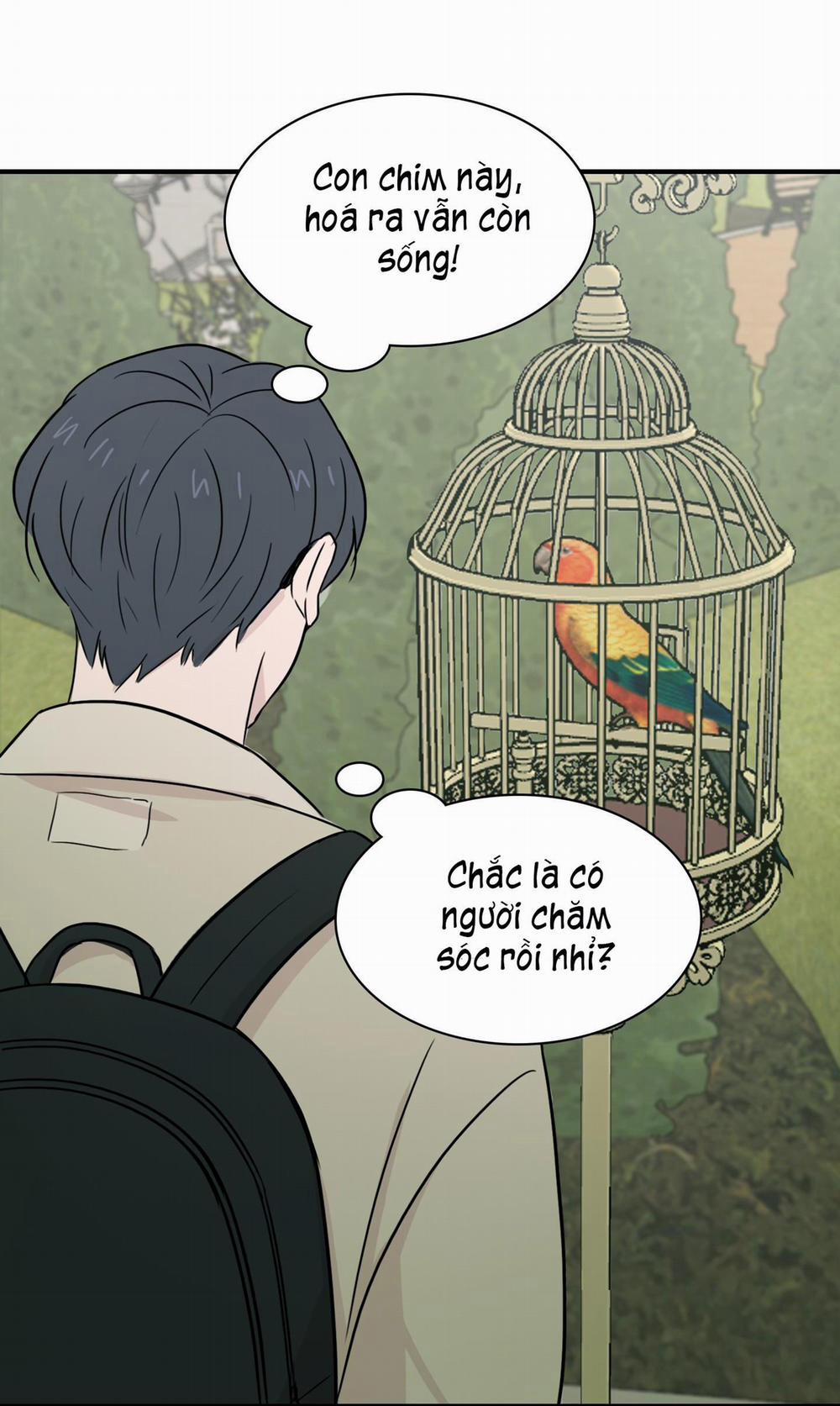 LỒNG CHIM 3 trang 48