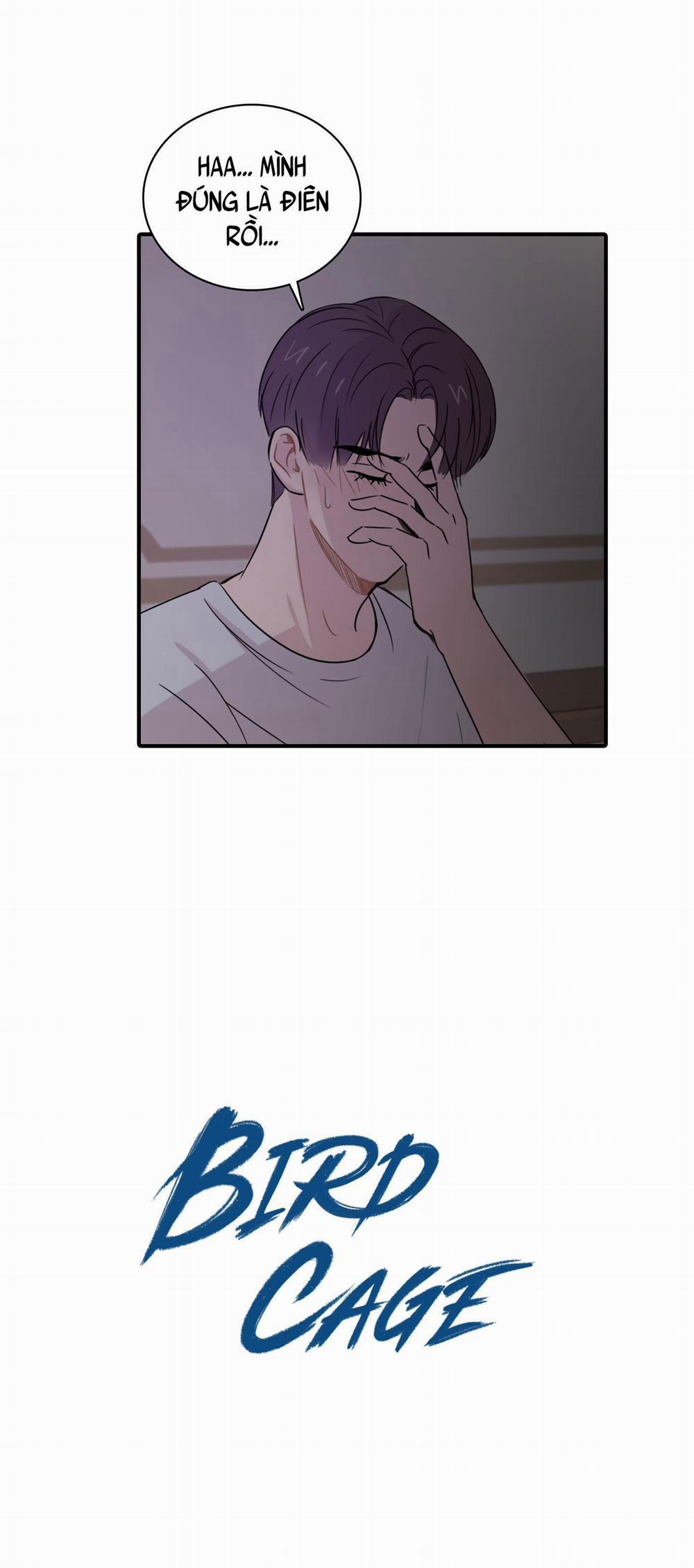 LỒNG CHIM 6 trang 14