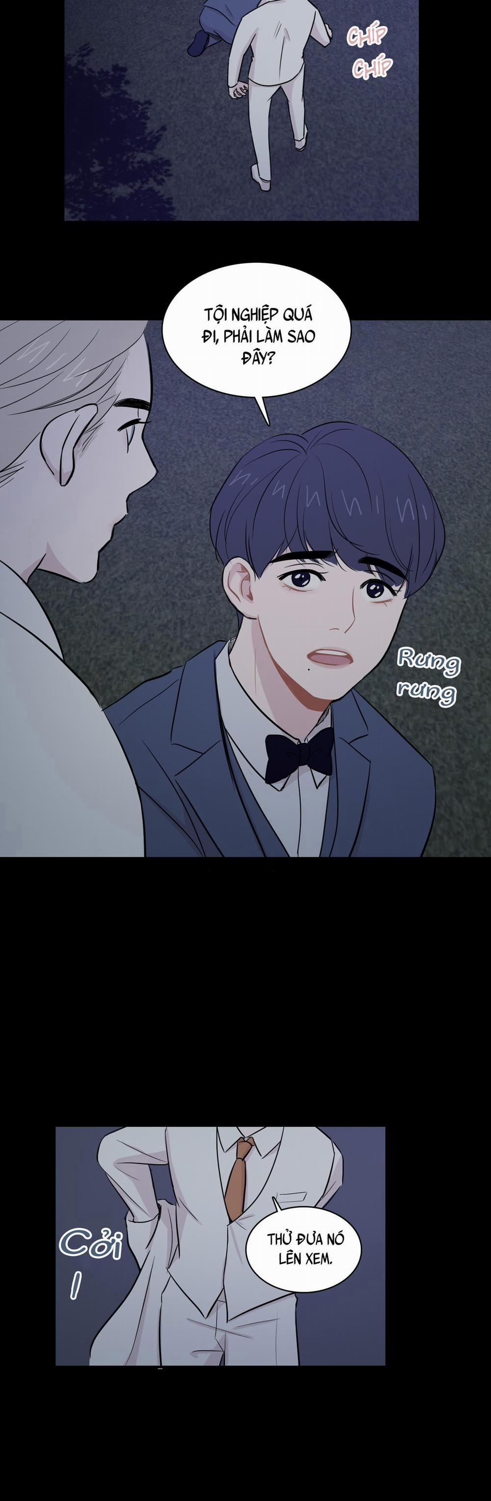 LỒNG CHIM 7 trang 11