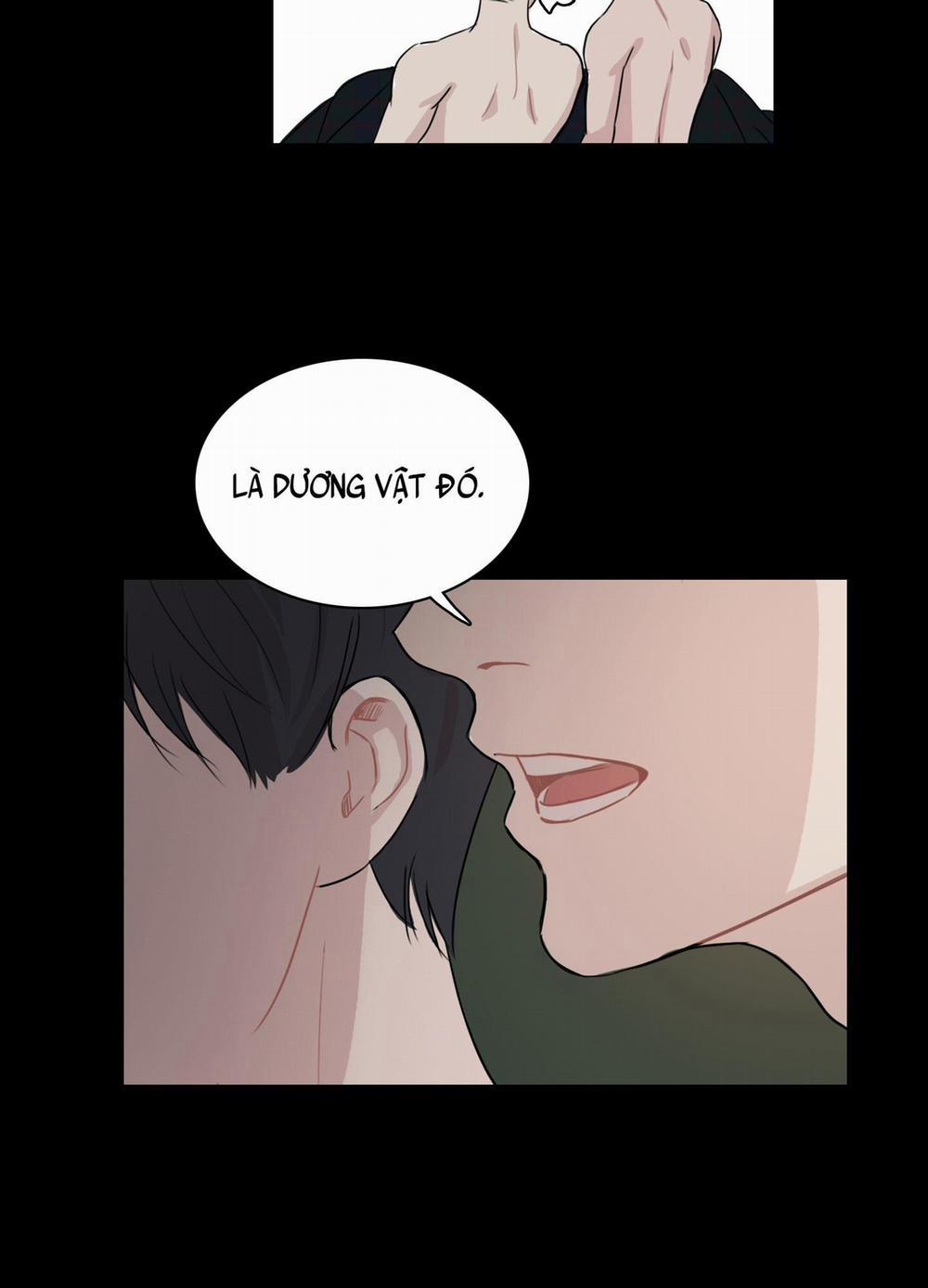 LỒNG CHIM 8 trang 40