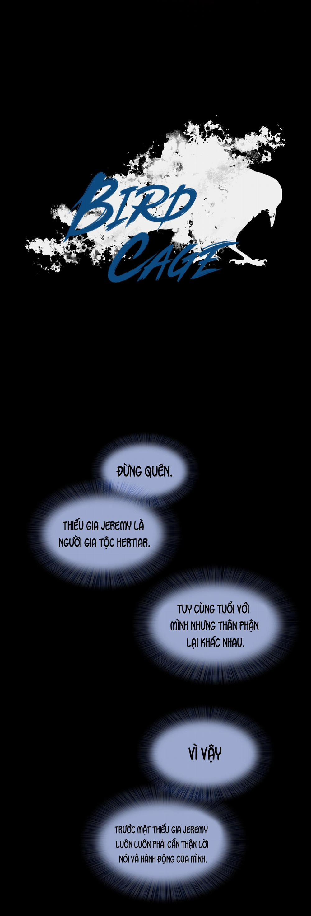 LỒNG CHIM 9 trang 12