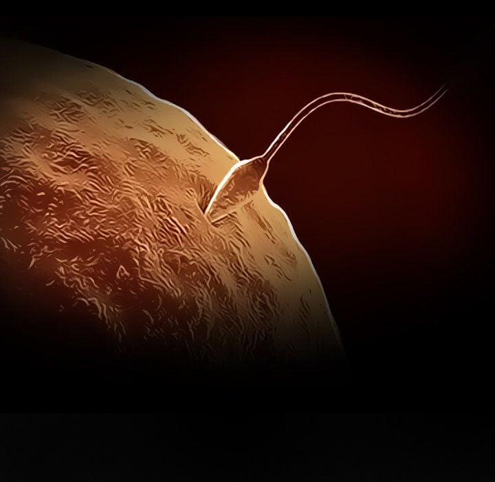 Lòng Chung Thủy 22 trang 7