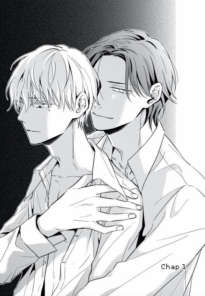 Lồng Hoa Cẩm Tú Cầu 1 trang 13