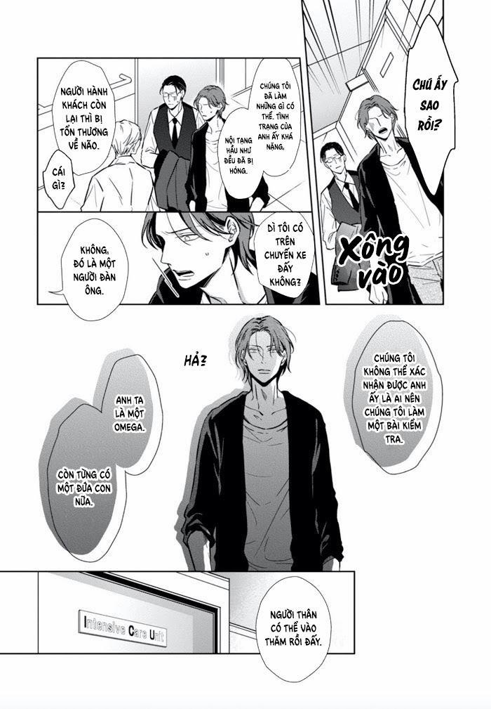 Lồng Hoa Cẩm Tú Cầu 1 trang 15