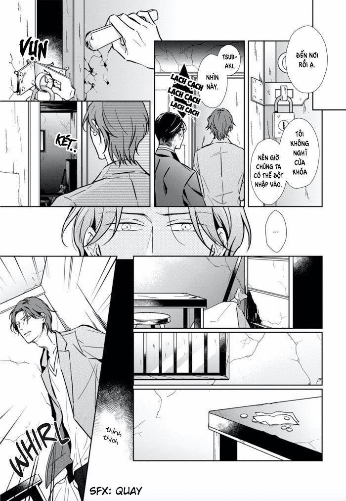 Lồng Hoa Cẩm Tú Cầu 1 trang 20