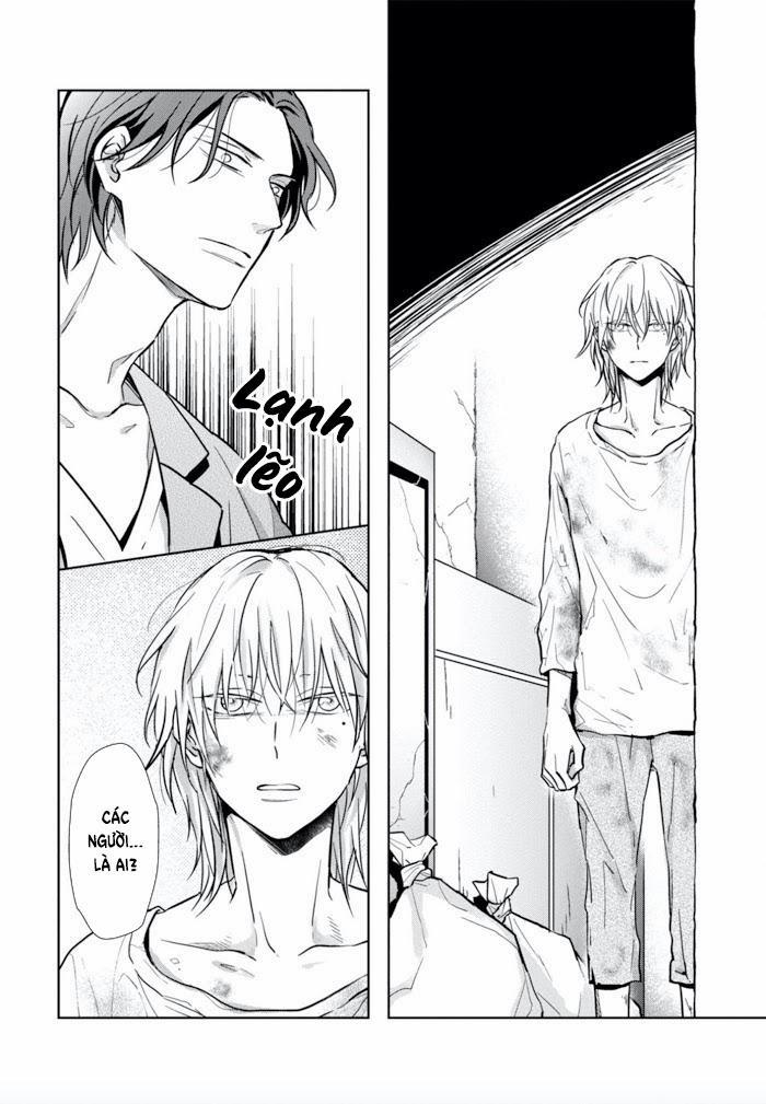 Lồng Hoa Cẩm Tú Cầu 1 trang 21