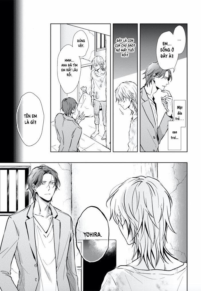 Lồng Hoa Cẩm Tú Cầu 1 trang 22