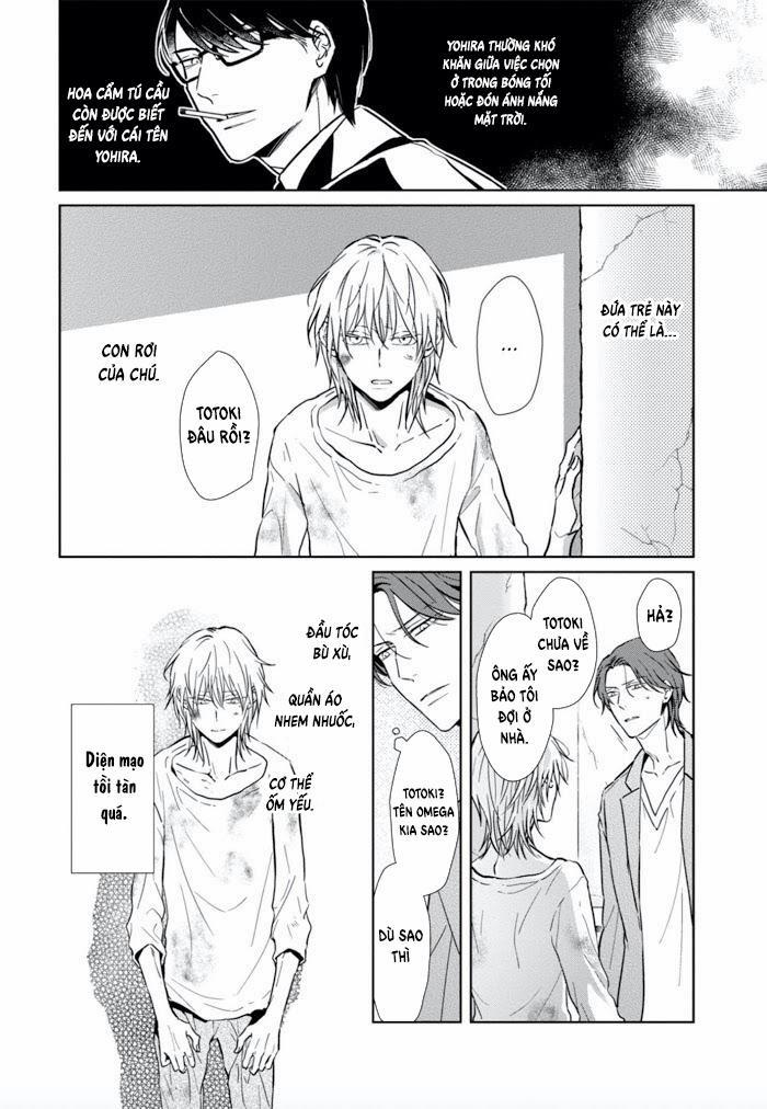 Lồng Hoa Cẩm Tú Cầu 1 trang 23