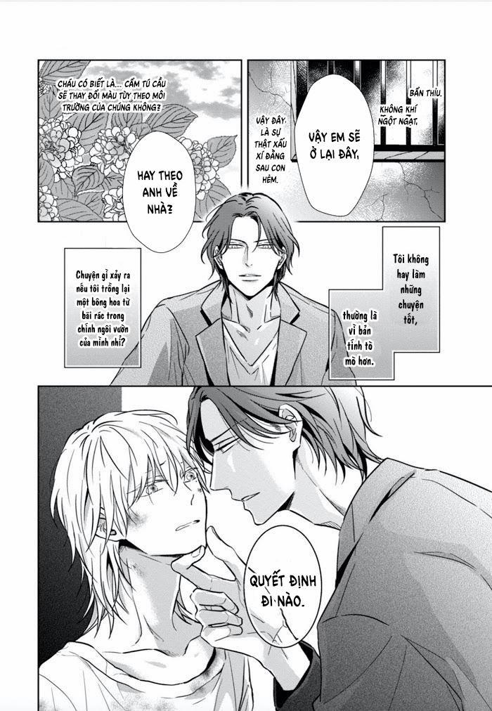 Lồng Hoa Cẩm Tú Cầu 1 trang 25