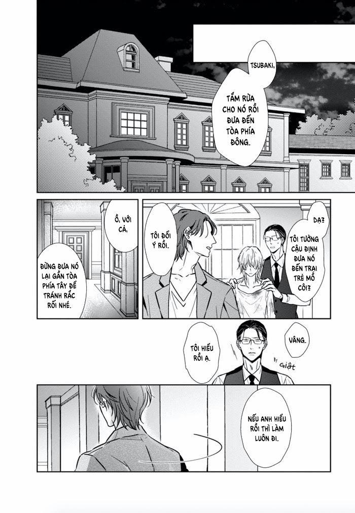 Lồng Hoa Cẩm Tú Cầu 1 trang 26