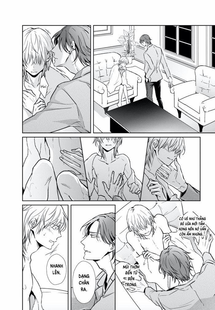 Lồng Hoa Cẩm Tú Cầu 1 trang 28