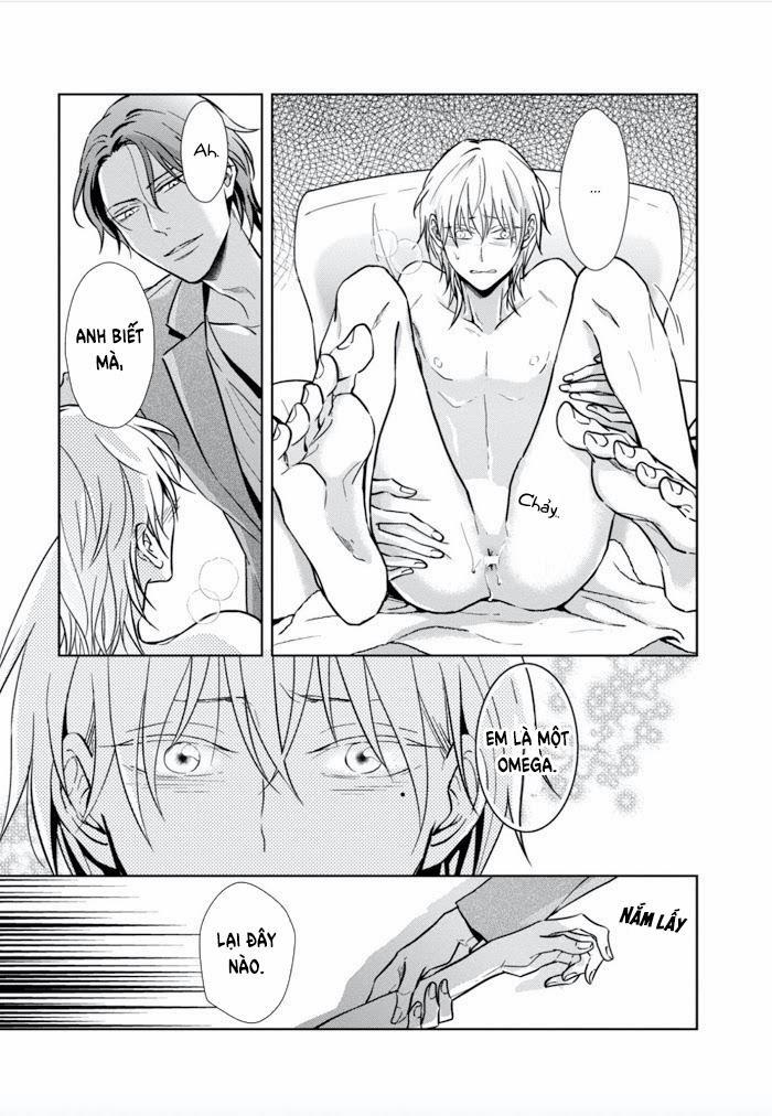 Lồng Hoa Cẩm Tú Cầu 1 trang 29