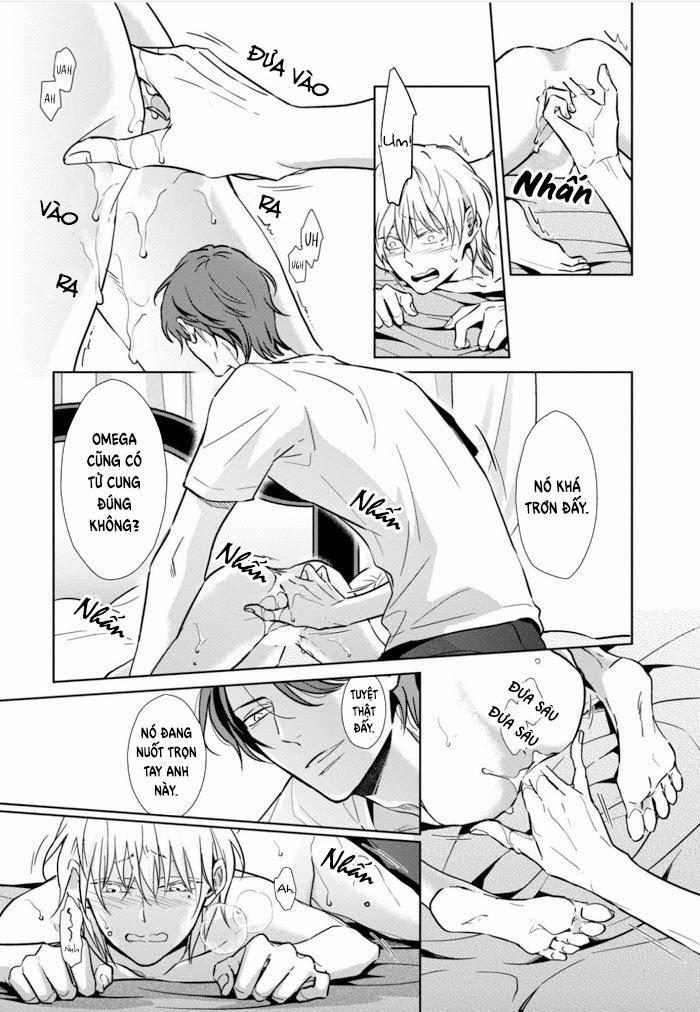 Lồng Hoa Cẩm Tú Cầu 1 trang 31