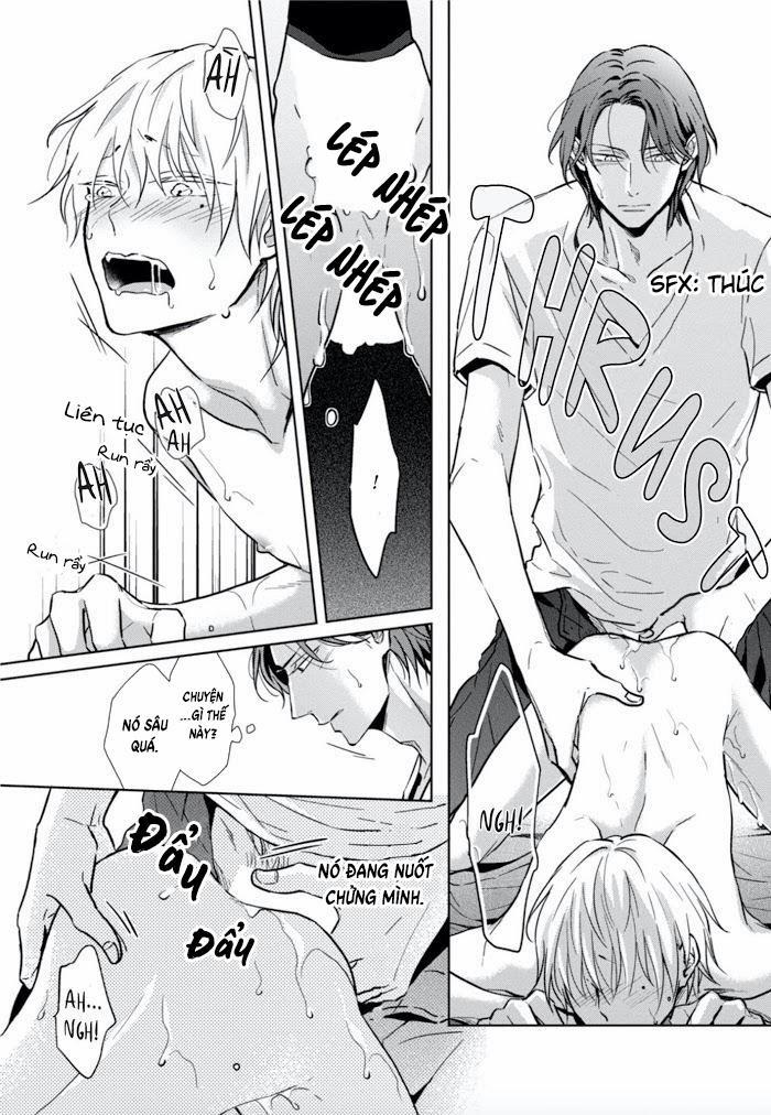 Lồng Hoa Cẩm Tú Cầu 1 trang 34